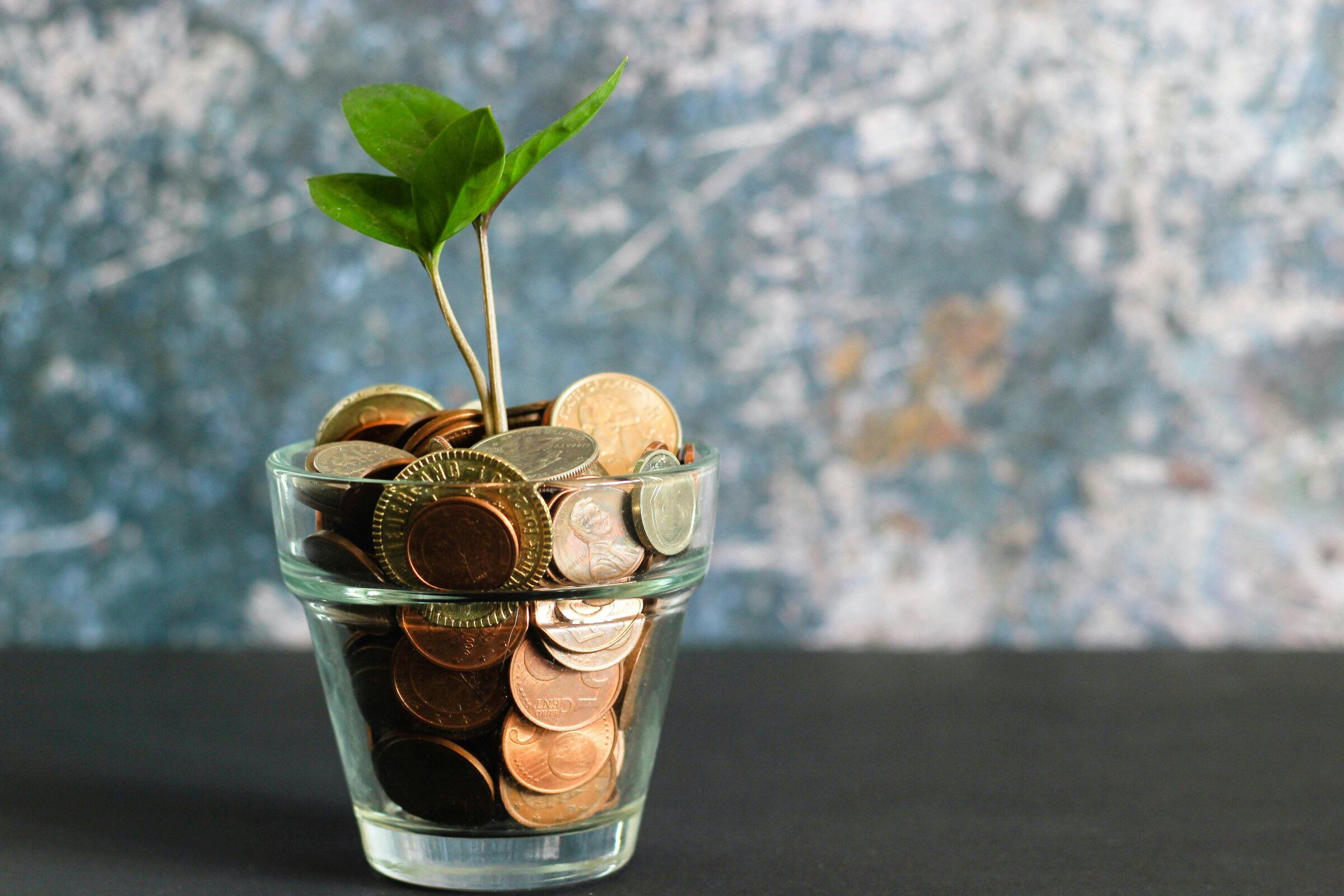 A small plant growing from a jar of coins